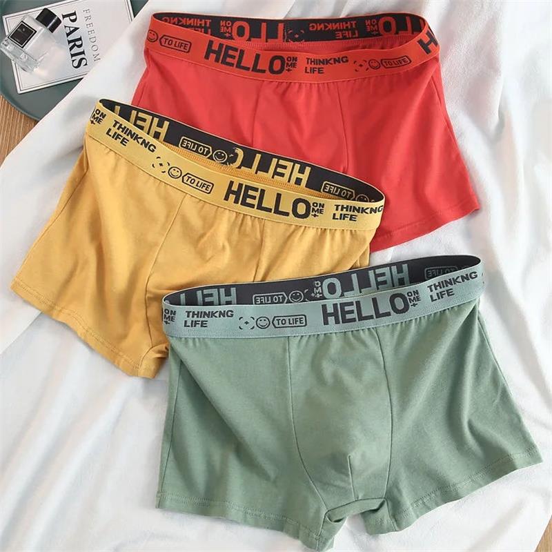 10 pièces/sous-vêtements pour  - Boxer Shorts Modal avis et prix